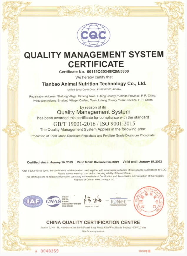 Titanium Cross Stud Earring