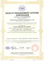 Titanium Cross Stud Earring